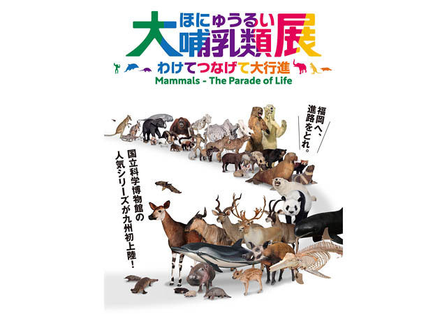 国立科学博物館で2010年から続く人気シリーズが九州初上陸！「大哺乳類展」福岡市博物館で今夏開催決定