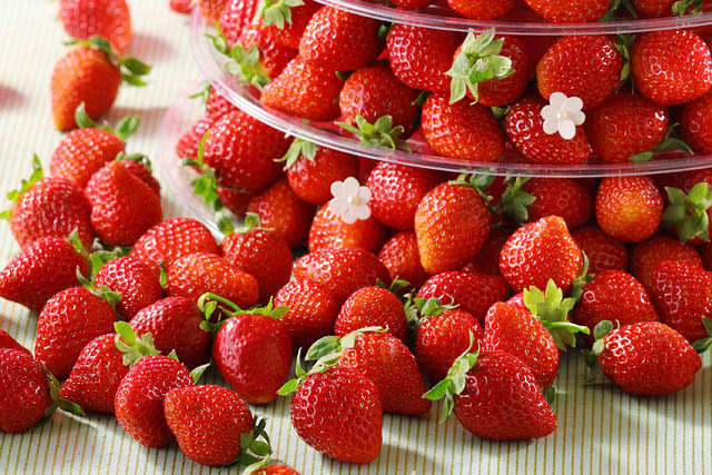 福岡PARCOのスイパラ - 果汁たっぷりのメロンが食べ放題に仲間入り「メロン・マンゴー食べ放題」開催決定