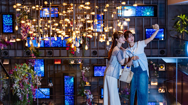 THE LIVELY 福岡博多 - 異国の風を感じるフラワーアートがロビーに登場、カフェバーで楽しめる夏季限定メニューも