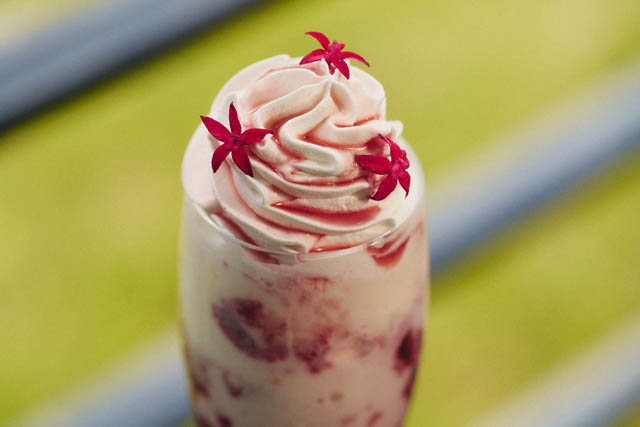 姪浜のストングカフェ - 極上スイーツ「チェリー」をテーマにした6月限定スイーツ&ドリンクを販売