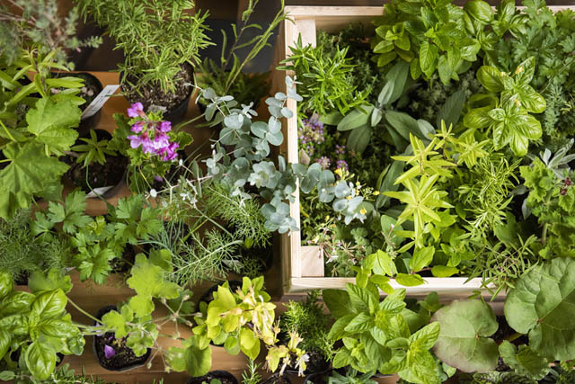 マーガレット・ハウエル 天神カフェ -「MH MARKET」と題してマーケットを開催