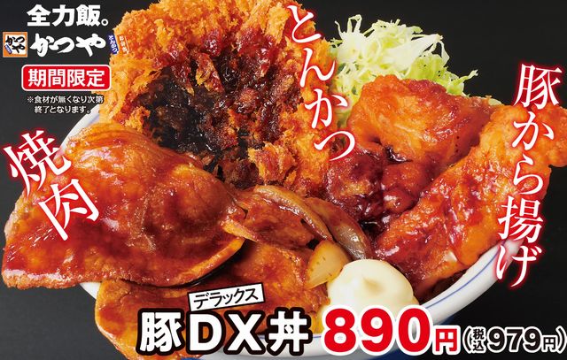 こだわりの豚肉をとことん堪能！欲張り心を満たす「豚DX（デラックス）」かつやに新登場！