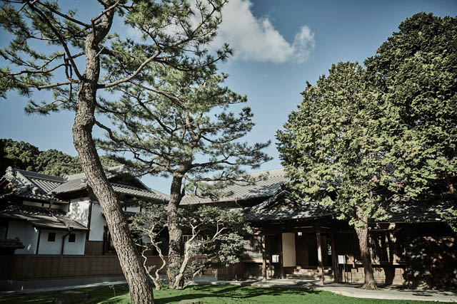 グラナダスィート オン ア ターブルと高宮庭園茶寮 - 南国リゾート気分で優雅なティータイムを！常夏のトロピカルフルーツ アフタヌーンティー登場