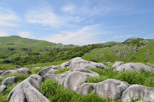 平尾台の魅力を詰め込んだオリジナル学習帳が登場