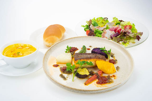 専門ガイド付きのイルカウォッチングも！博多駅発着プランあり - JR九州「特急 Ａ列車で行こう」でいく！天草の海と心躍る旅