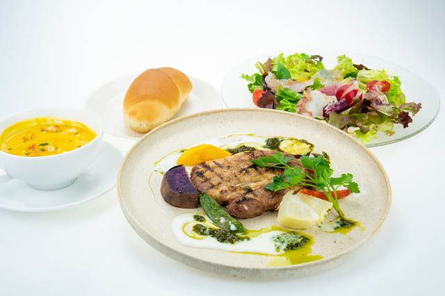 専門ガイド付きのイルカウォッチングも！博多駅発着プランあり - JR九州「特急 Ａ列車で行こう」でいく！天草の海と心躍る旅