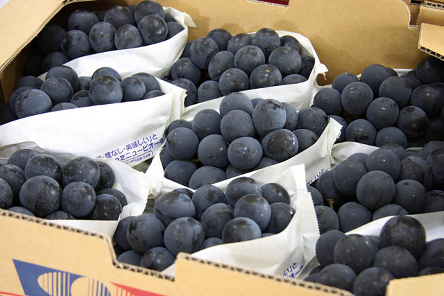 皮がパリッとはじけてジュワ～ッと滴る濃厚な果汁 - 如水庵の「ぶどう大福」販売開始へ