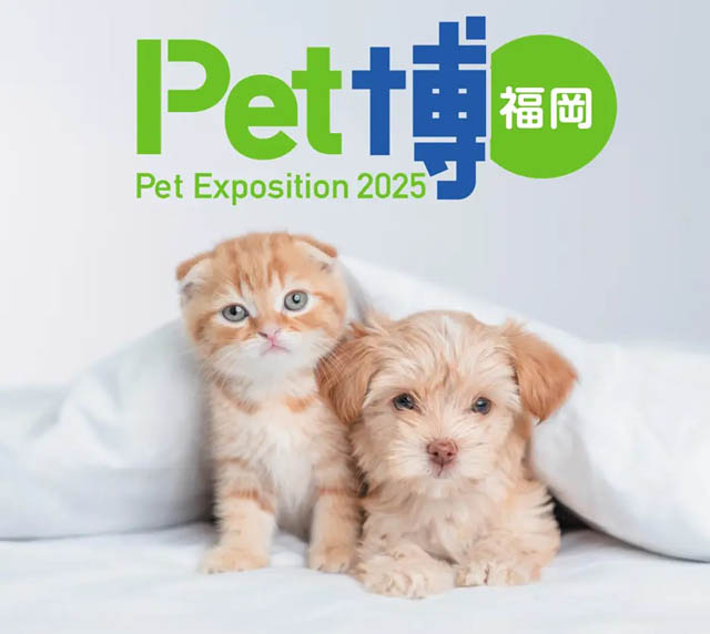 みずほPayPayドーム福岡で初開催「Pet博2025 福岡」ペットは家族をコンセプトにペット同伴で入場できるイベント