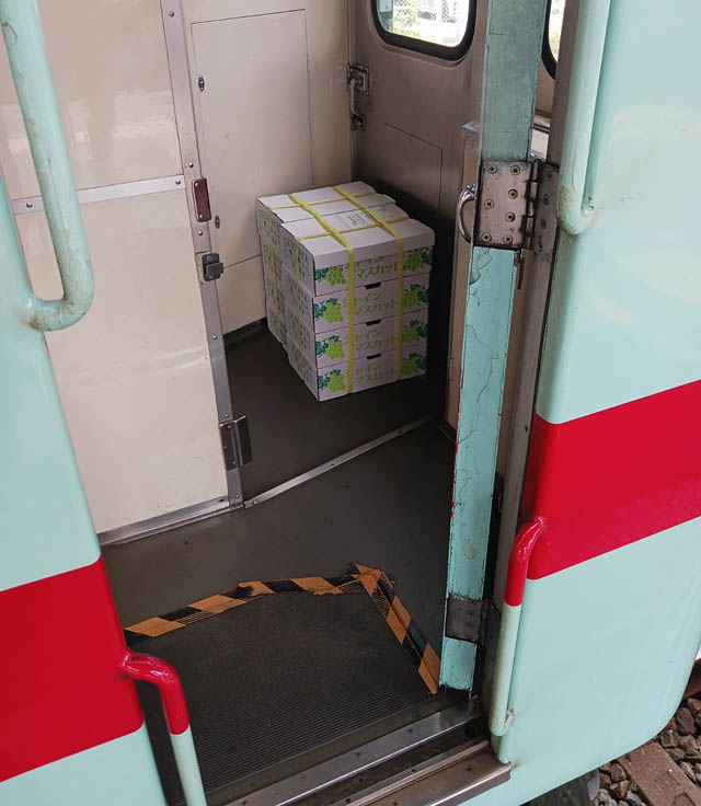 西鉄ストア - 筑後市のシャインマスカットを西鉄電車で運搬「にしてつストア高宮店」で販売へ