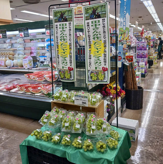 西鉄ストア - 筑後市のシャインマスカットを西鉄電車で運搬「にしてつストア高宮店」で販売へ