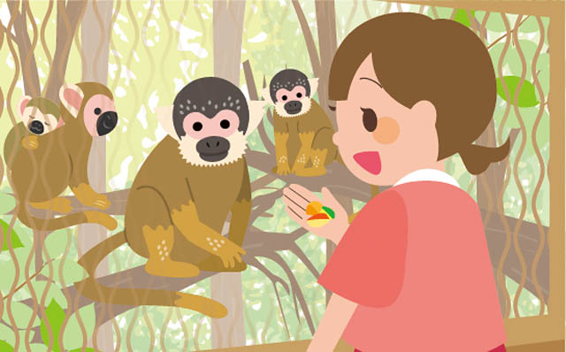 海の中道海浜公園「うみなか＊はなまつり2025」開催