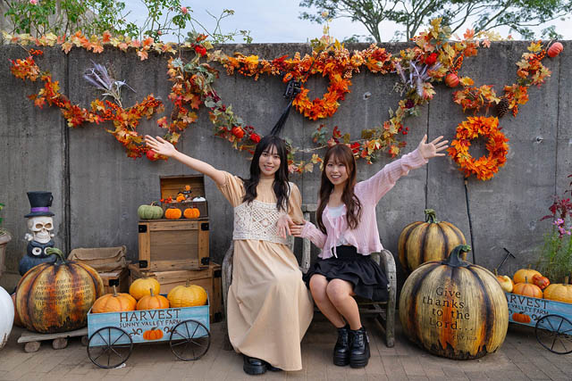 海の中道海浜公園「うみなか＊はなまつり2025」開催