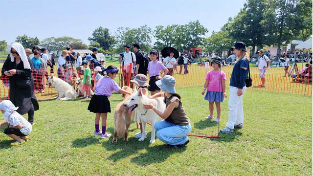 福岡市西区・小戸公園で地域最大級の冬フェス「オドフェス2025」開催決定