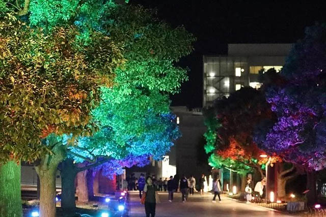 福岡大学「イルミネーションスペシャルイベント」開催へ