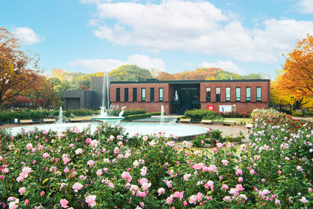 イベント盛りだくさん「石橋文化センター 秋のバラフェア2025」開催