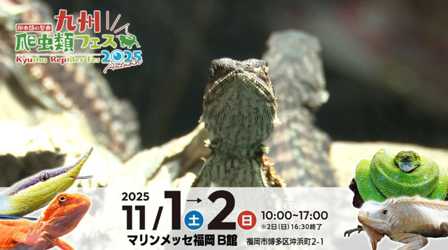 日本全国から有名専門店が集結「九州爬虫類フェス2025 Autumn」マリンメッセで開催！
