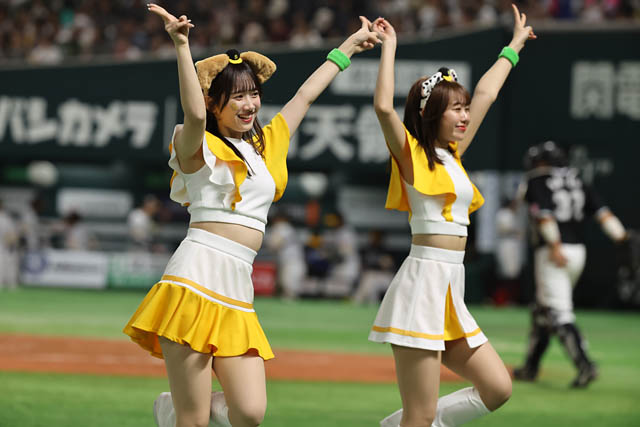 福岡ソフトバンクホークス - 2026年度ホークスパフォーマンスチームメンバーオーディション台北・熊本・福岡の国内外3会場で開催