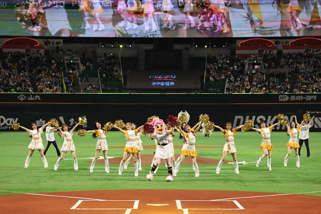 福岡ソフトバンクホークス - 2026年度ホークスパフォーマンスチームメンバーオーディション台北・熊本・福岡の国内外3会場で開催