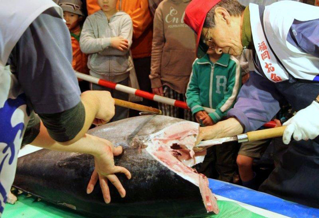 全国屈指の鮮魚市場「長浜鮮魚市場」で市民感謝デー開催！迫力満点の本マグロの解体ショーも！