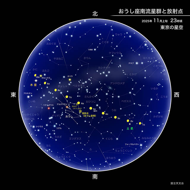 秋の夜空に願いを...「おうし座南流星群」が照らす、静かな煌めきの時間