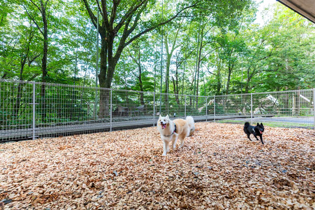 全客室天然温泉付き愛犬同伴型ラグジュアリーリゾートホテル「レジーナリゾート由布院」今秋開業