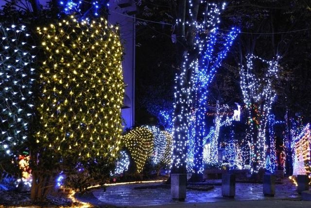 飯塚市の冬の風物詩「第14回まちなかイルミネーション大作戦」開催！