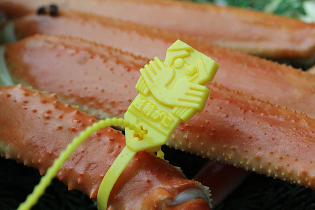 大丸福岡天神店 - 天神出店50周年を祝した特別催し「天神孔雀祭」開催へ