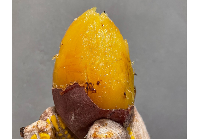 全国焼き芋グランプリ準グランプリ受賞『京都芋屋・芋と野菜』博多に期間限定で登場