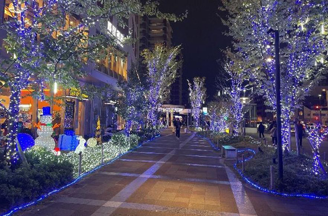 六本松４２１とその周辺を輝くイルミネーションで彩る「六本の煌めき イルミネーション」開催！