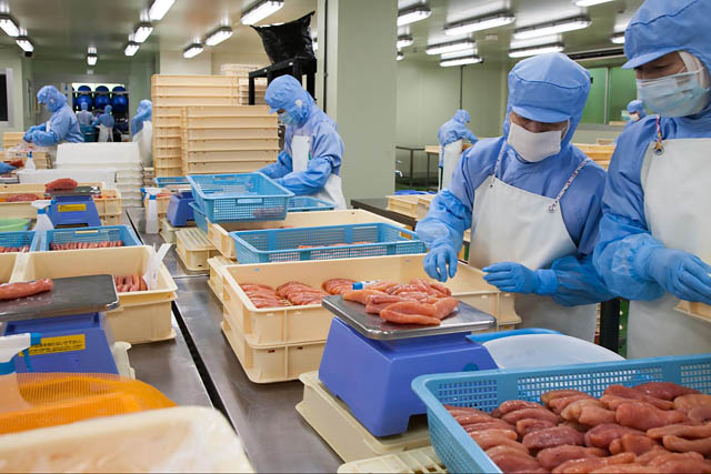 ふくやグループ ヤマトバイオレッツ - 製造全工程で一切冷凍しない「生仕立て 辛子明太子」専門販売所 大野城市にオープン