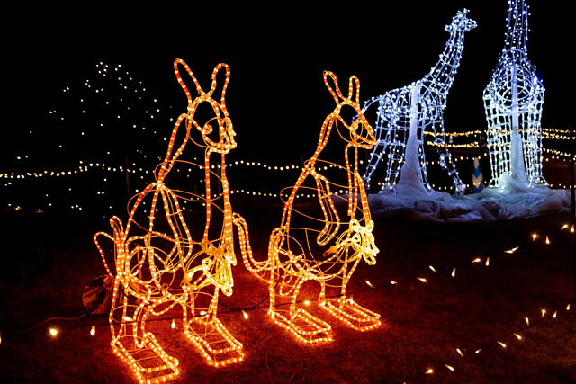 国営海の中道海浜公園 - 西日本最大級！1万本のキャンドルが描く光の地上絵「うみなかキャンドルナイト2025」過去最長となる6日間開催へ