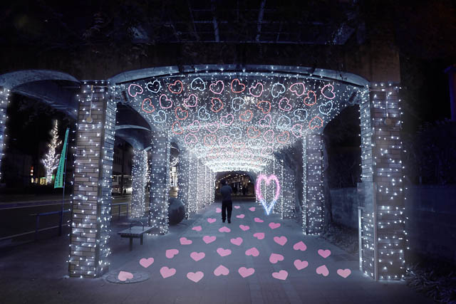 40万球のイルミネーションが点灯!久留米のまちを照らす冬の光が今年も点灯 - 学生とともに創る「第21回くるめ光の祭典 ほとめきファンタジー」開幕へ