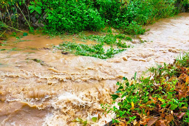 大牟田市×TOPPANデジタル×OKI——水害に強いまちへ、防災の“今”をデジタルで実証
