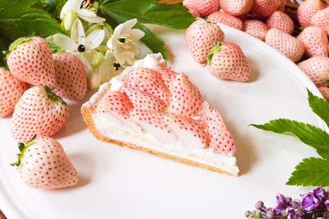 キル フェ ボン - 全国各地の個性豊かな旬のイチゴが勢揃い！「2026 VERY STRAWBERRY」開催