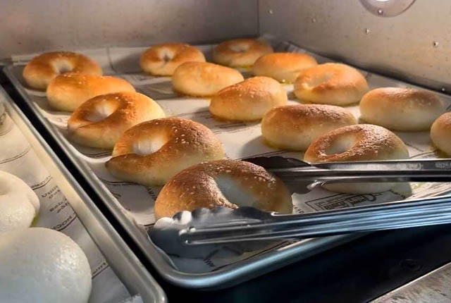 自社栽培米の生米粉を使った生米粉ベーグル専門店「こめとら」天神にオープンへ