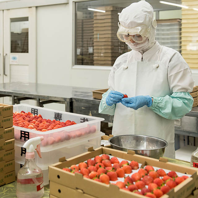 如水庵 - 発売40周年 こだわりの「いちご大福」今年も販売開始