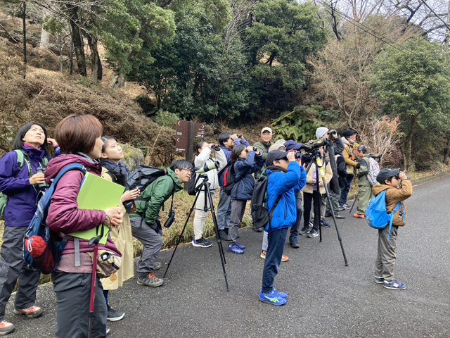 鳥に興味がある小中学生向けのフィールドイベント「鳥が好き！な小中学生のための1日学校」開催