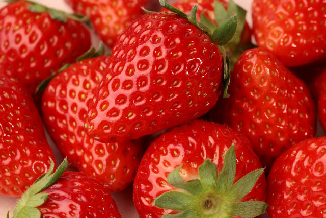 福岡空港 - 9品種が勢揃い「九州いちご プロモーション試食イベント」開催
