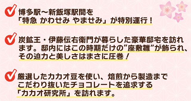 JR九州 日帰りツアー「特急 かわせみ やませみ」で行く飯塚！～長崎街道シュガーロードのスイーツとひな祭りを巡る旅～ 販売開始