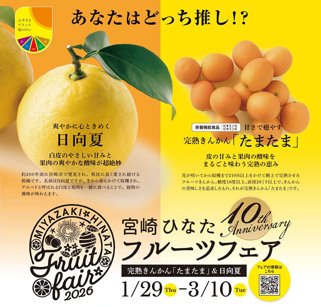 今しか食べられない“黄金の果実”が街にやってきた!宮崎ひなたフルーツフェア2026が開催中