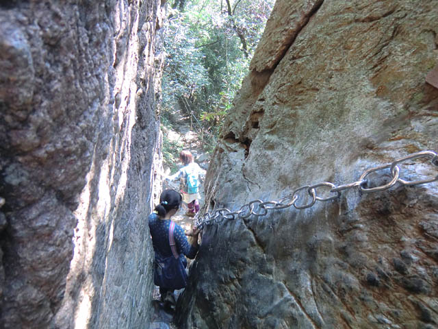 巡拝者減少が進む霊峰「若杉山」- 1200年の歴史が紡ぐ“祈りの山”の現在地