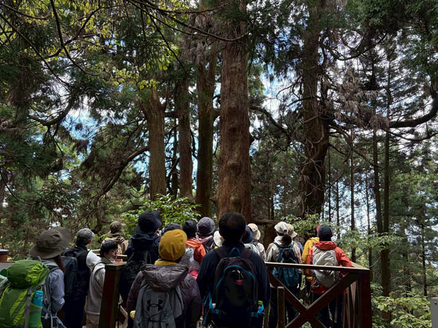 巡拝者減少が進む霊峰「若杉山」- 1200年の歴史が紡ぐ“祈りの山”の現在地