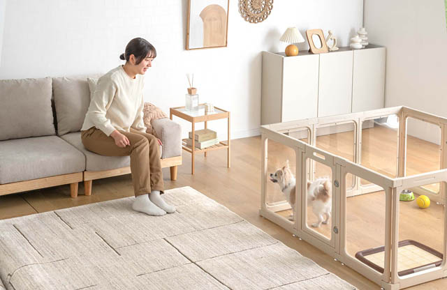 大川発「愛犬の視線」守る新発想 – タンスのゲンが透明ペットサークルを発売