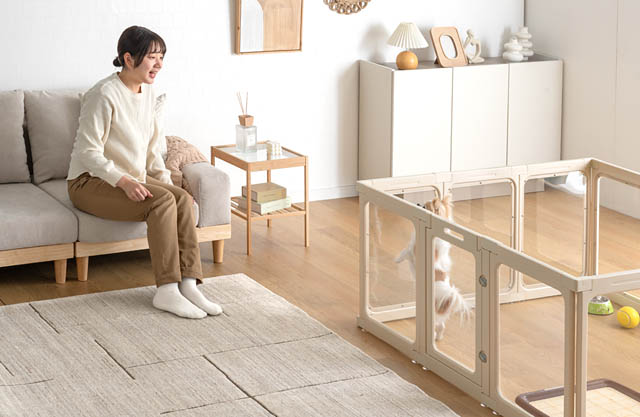 大川発「愛犬の視線」守る新発想 - タンスのゲンが透明ペットサークルを発売