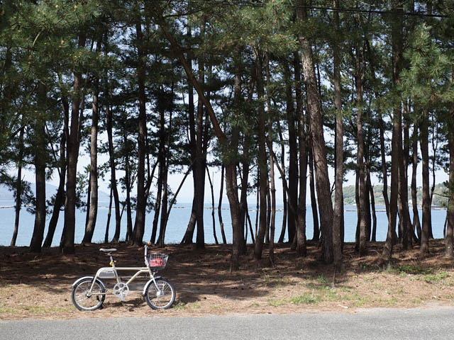 絶景を e-Bike で駆け抜ける！ガイド付きサイクリング「ノルバイ糸島」が2年目のリニューアル