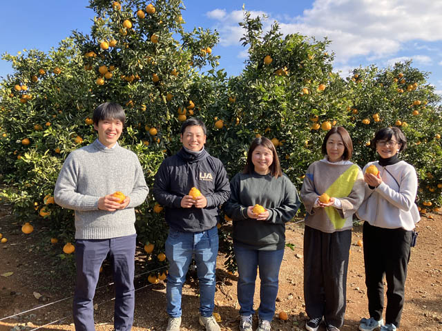 ロイヤルホスト - 春を彩る苺×熊本県産 不知火の甘酸っぱい初共演デザート登場