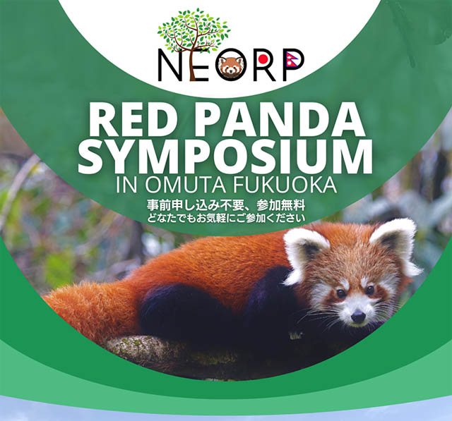 大牟田市動物園が日本初のレッサーパンダシンポジウムを開催