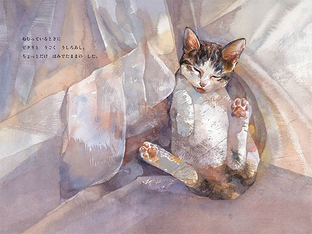 猫好きさん筑後市に集まれ！愛猫とのかけがえのない日々を綴った人気絵本「きみがいるから」ニワノホンヤで原画展開催決定