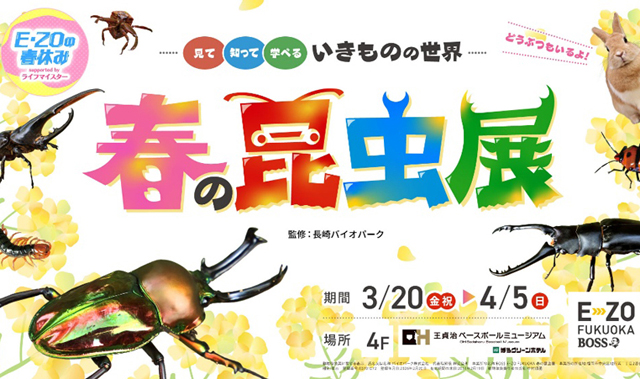E・ZOで珍しい虫や動物たちとふれおう「見て知って学べるいきものの世界 春の昆虫展」開催！