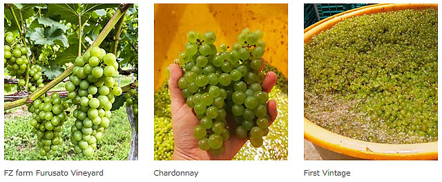 THE CITY BAKERY - 自社農園のぶどうを「京都ワイナリー 四条河原町醸造」にて醸造、キャナルでオレンジワインの提供をスタート